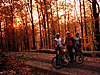 Rennsteig-Dolmar-Weg