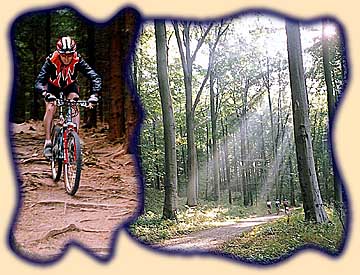 Impressionen aus dem Th&uuml;ringer Wald