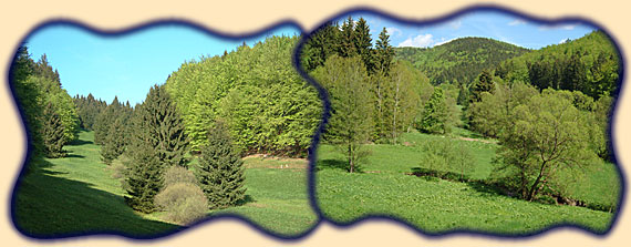 Seitent&auml;ler des Vessertals; Otterod bei Breitenbach